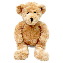 Load image into Gallery viewer, teddy bear wholesale