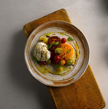 Load image into Gallery viewer, Dudson Sandstone Organic Coupe Plate 10.6" (12)