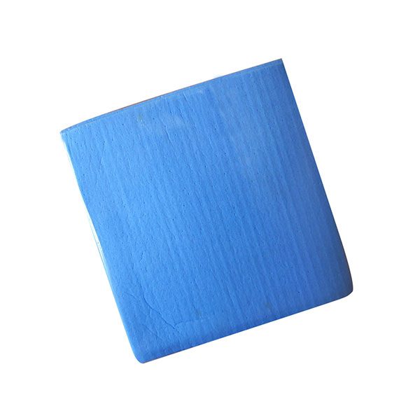 IG Group Blue Sponge Cloth 20x16cm (10)