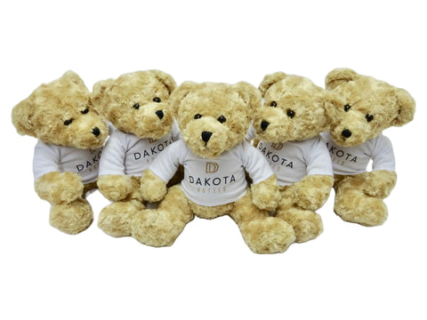 Promotional Teddy Bears with T-Shirts